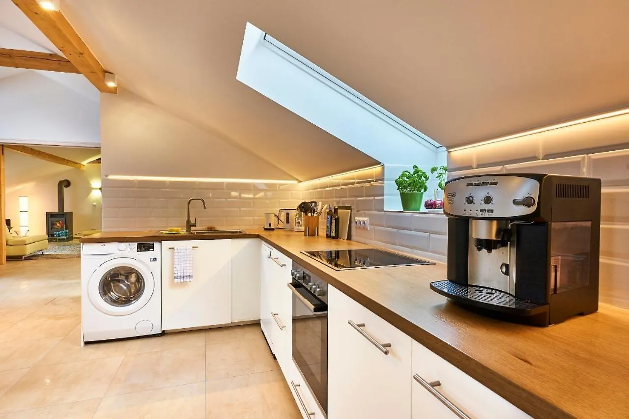 Appartement Arber Lofts à Bayerisch Eisenstein Allemagne